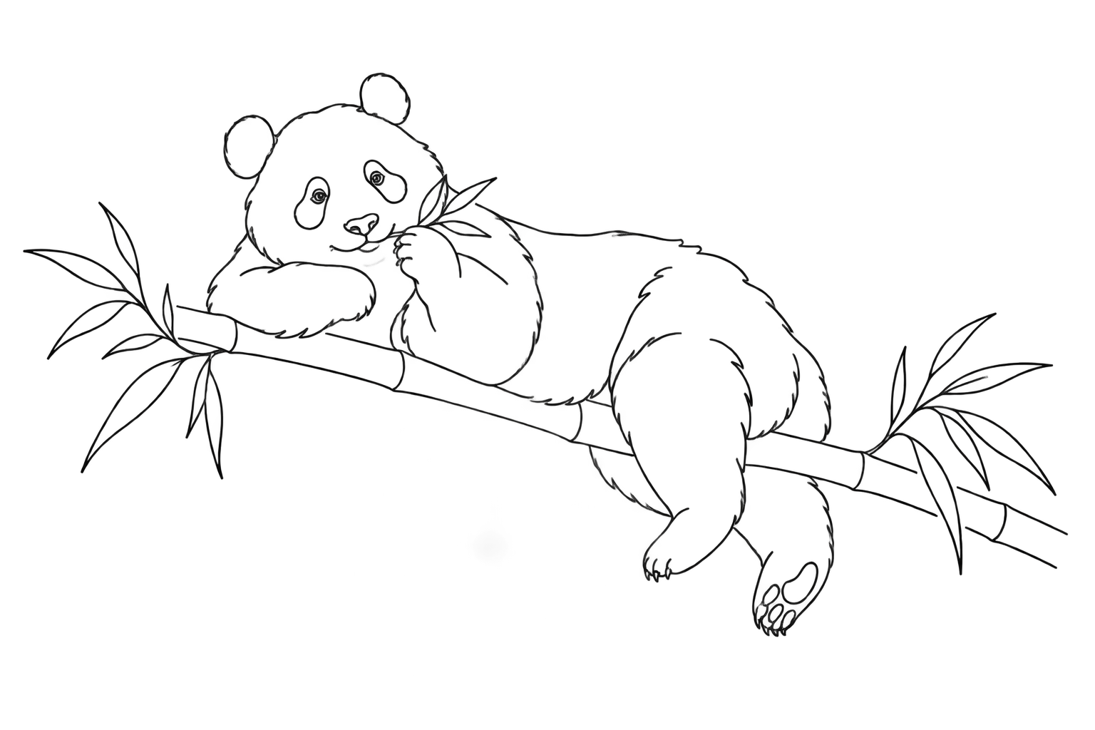 Continuous-line animal illustration